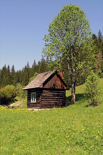 ... ...zastav sa, sadni si... a zhlboka dýchaj ....