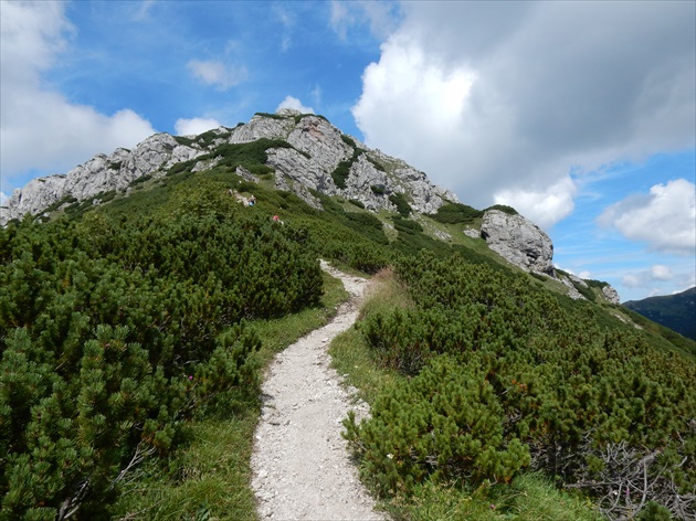 cesta na Sivý vrch