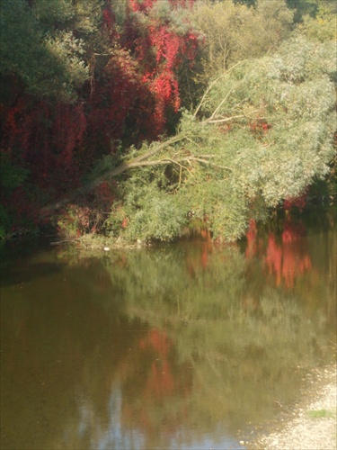 červené závoje