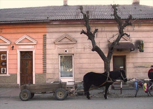 ukrajinské záprahy