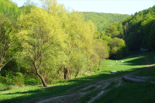 čierne pazúry