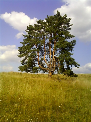 Poskrúcaný