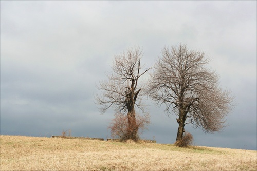 dvojičky