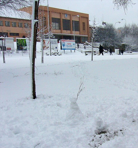 malý snehuliačik