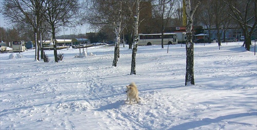 behá a špekuľuje