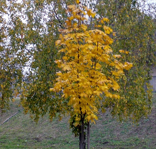 a jeseň prichádza