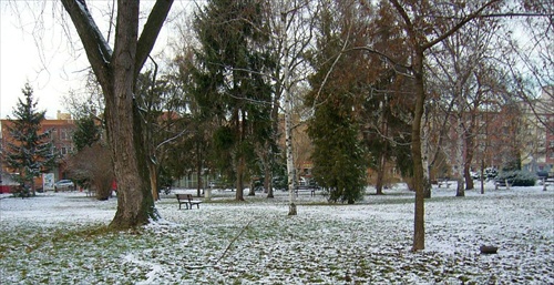 centrál park