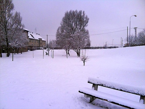 mestský park