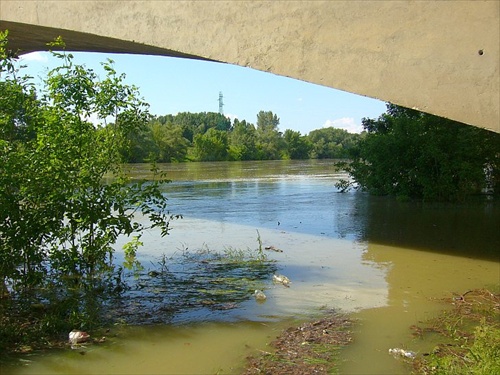 kalný a špinavý