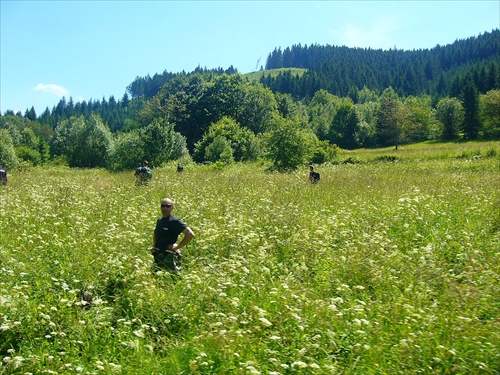 policajná rojnica