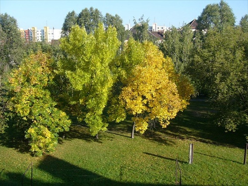 a prišla p. jeseň