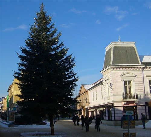 mestská jedlička