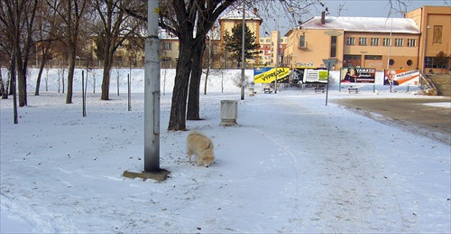 technologická prechádzka