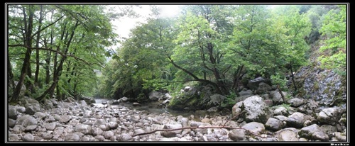 Vikos - vyvieračka