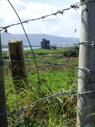 barbed wire