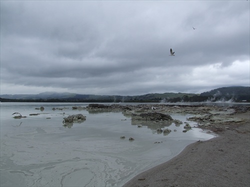 lake Rotorua