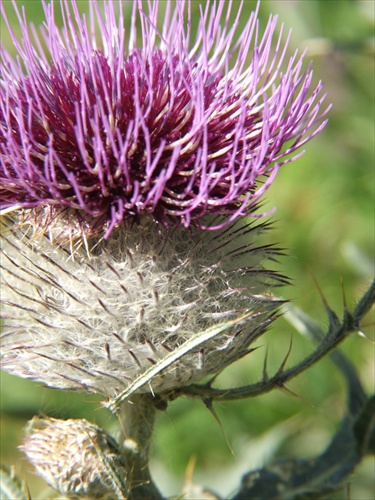 Spiky hair