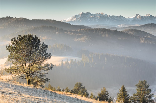 Decembrové Pieniny zahalené zimným oparom