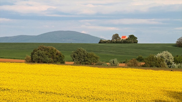 Jar na poli