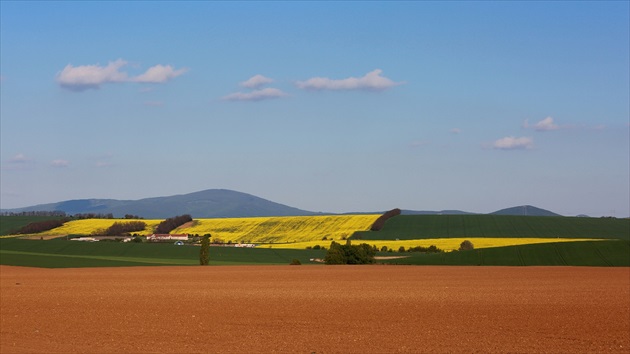 Jarné pohľady