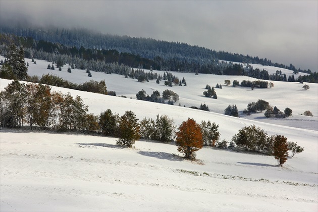 Predčasná zima