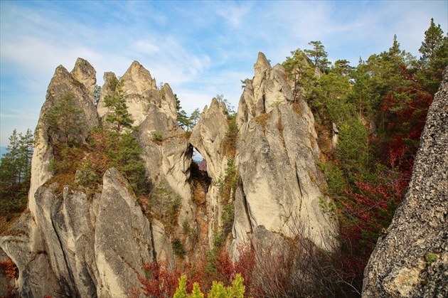 " Kráľovská koruna "