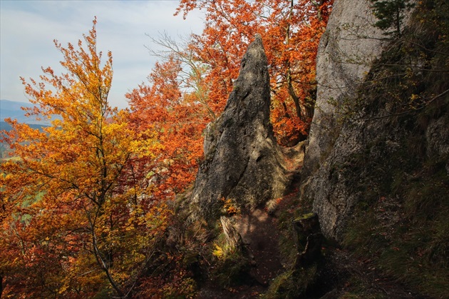 Chodníkom v skalách