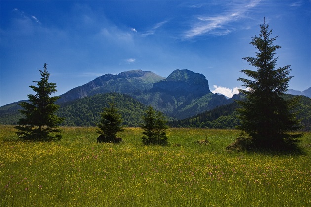 Z Tatranskej Javoriny