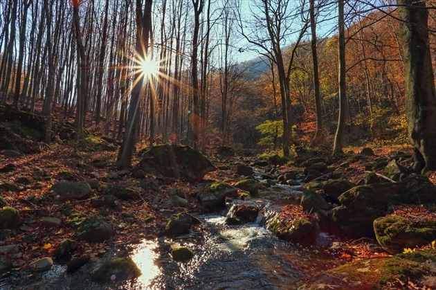 Slnko nad potokom