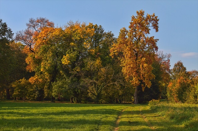 Prechádzka parkom