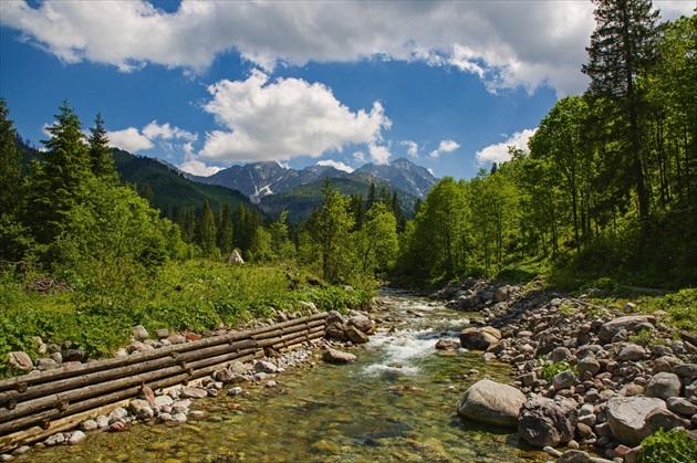 Potok Javorinka-Tatry