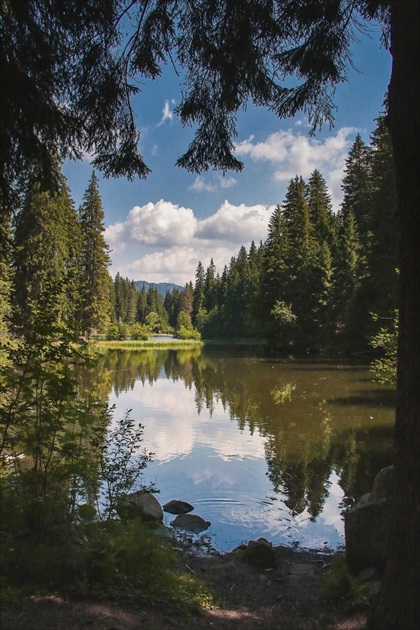 Vrbické pleso