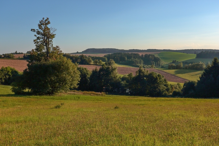 Podvečerné polia