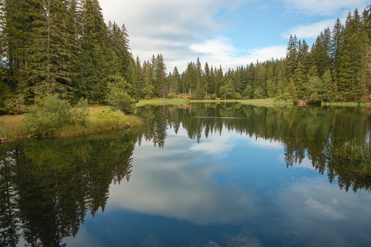 Vrbické pleso