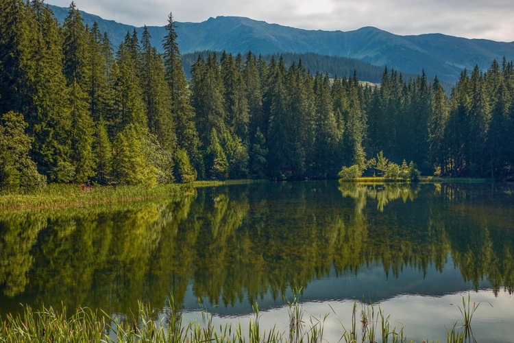 Vrbické pleso