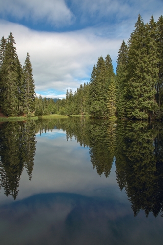 Vrbické pleso