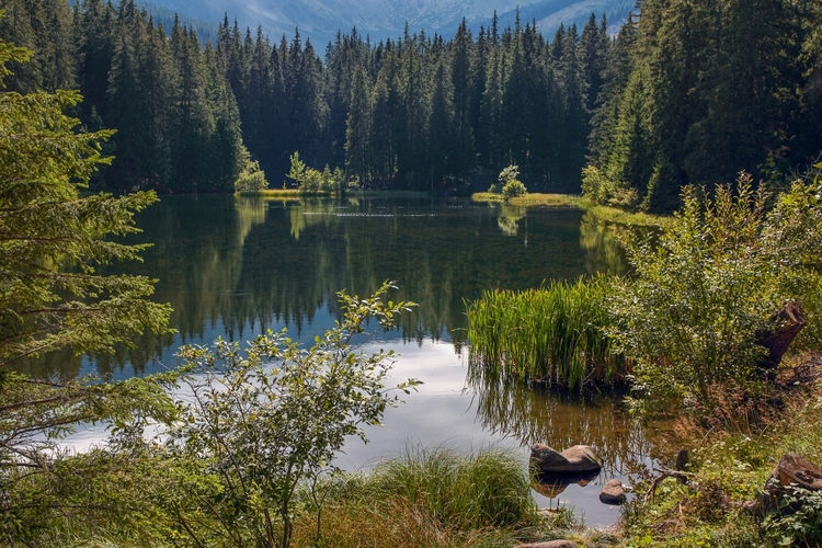 Vrbické pleso