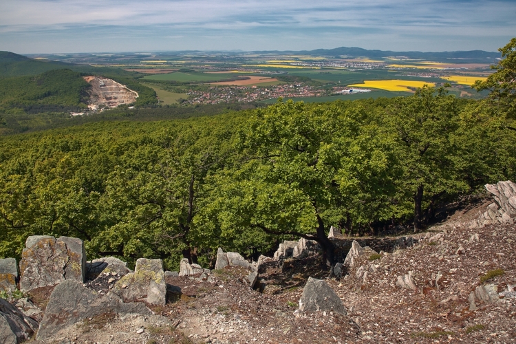 Jarné pohľady