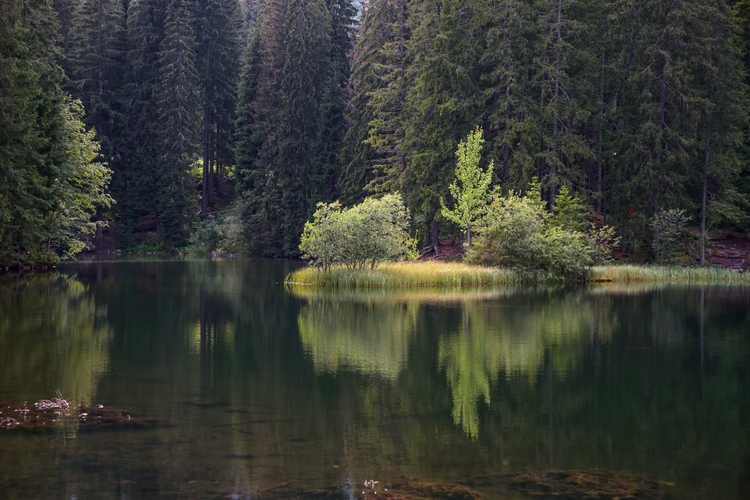 Vrbické pleso