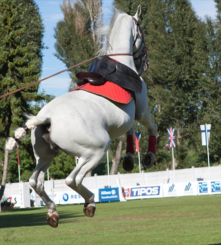 Grand Prix Bratislava