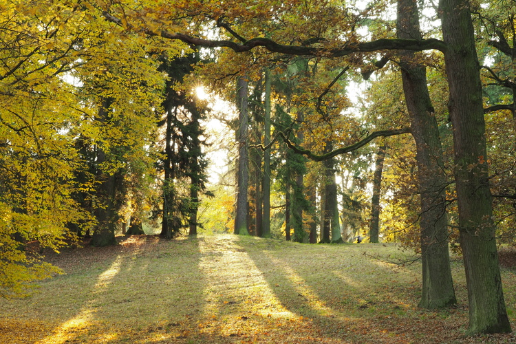 Průhonický park