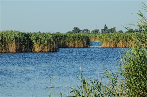 Neziderske jazero