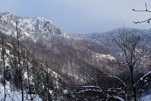 Kršlenica