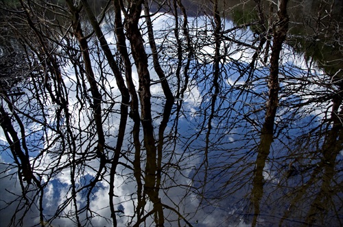 Vodné nebo