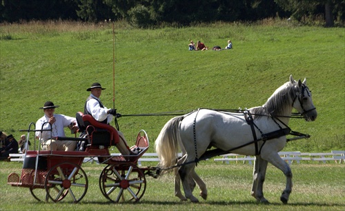 Gorali a Lipicany