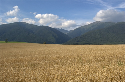 Západné Tatry