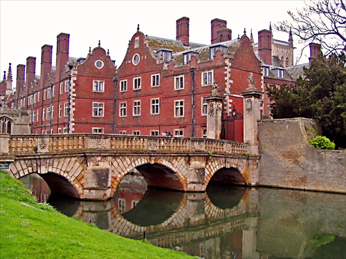 Bridge mirror