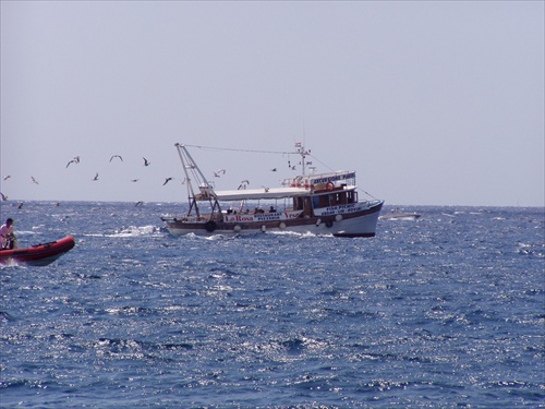 Rovinj05