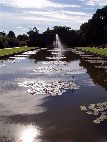 Water garden