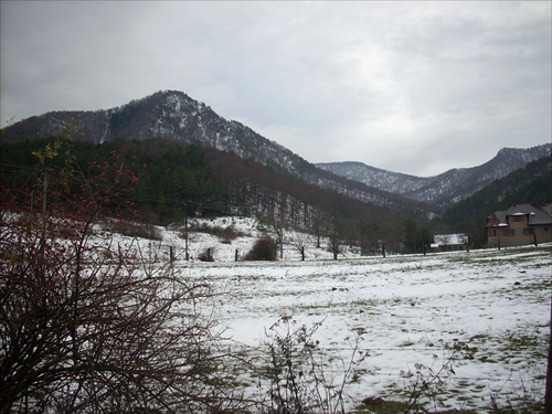 Spiaci mních a Rokoš ako brucho